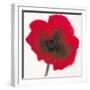 Poppy-Emma Forrester-Framed Giclee Print