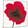Poppy-Emma Forrester-Mounted Giclee Print