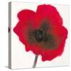 Poppy-Emma Forrester-Stretched Canvas