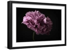 Poppy-Lotte Gronkjaer-Framed Giclee Print