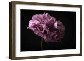 Poppy-Lotte Gronkjaer-Framed Giclee Print