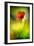 Poppy-Ursula Abresch-Framed Photographic Print