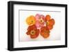 Poppy-DLILLC-Framed Photographic Print