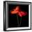 poppy-Magda Indigo-Framed Photographic Print