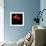 poppy-Magda Indigo-Framed Photographic Print displayed on a wall