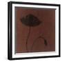 Poppy-Robert Charon-Framed Art Print