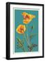 Poppy-Lantern Press-Framed Art Print