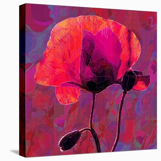 Poppy-Scott J. Davis-Stretched Canvas