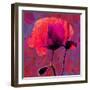 Poppy-Scott J. Davis-Framed Giclee Print