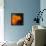 Poppy-Ursula Abresch-Framed Stretched Canvas displayed on a wall