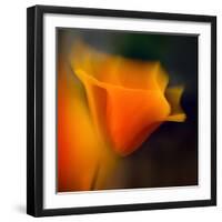 Poppy-Ursula Abresch-Framed Photographic Print