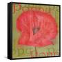 Poppy-Cora Niele-Framed Stretched Canvas