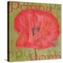 Poppy-Cora Niele-Stretched Canvas