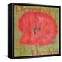 Poppy-Cora Niele-Framed Stretched Canvas