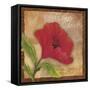 Poppy-Fiona Stokes-Gilbert-Framed Stretched Canvas