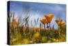 Poppy-Janice Sullivan-Stretched Canvas