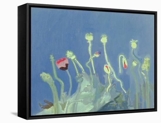 Poppyheads-David Alan Redpath Michie-Framed Stretched Canvas
