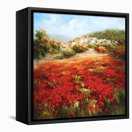 Poppyhill Village-Marino-Framed Stretched Canvas