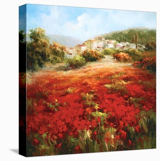 Poppyhill Village-Marino-Stretched Canvas