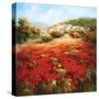 Poppyhill Village-Marino-Stretched Canvas