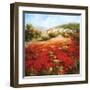 Poppyhill Village-Marino-Framed Art Print