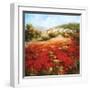 Poppyhill Village-Marino-Framed Art Print