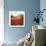 Poppyhill Village-Marino-Art Print displayed on a wall