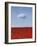 Poppylicious-Doug Chinnery-Framed Photographic Print