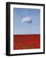 Poppylicious-Doug Chinnery-Framed Photographic Print