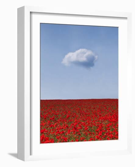 Poppylicious-Doug Chinnery-Framed Photographic Print