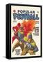 Popular Football-null-Framed Stretched Canvas