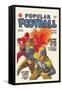 Popular Football-null-Framed Stretched Canvas