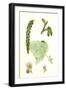 Populus Eu-Alba White Poplar-null-Framed Giclee Print