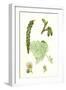 Populus Eu-Alba White Poplar-null-Framed Giclee Print