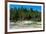 Porcelain Basin, Norris Geyser Basin, Yellowstone National Park, Wyoming, USA-Roddy Scheer-Framed Photographic Print