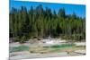 Porcelain Basin, Norris Geyser Basin, Yellowstone National Park, Wyoming, USA-Roddy Scheer-Mounted Photographic Print