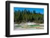 Porcelain Basin, Norris Geyser Basin, Yellowstone National Park, Wyoming, USA-Roddy Scheer-Framed Photographic Print