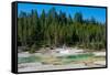 Porcelain Basin, Norris Geyser Basin, Yellowstone National Park, Wyoming, USA-Roddy Scheer-Framed Stretched Canvas