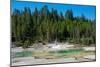 Porcelain Basin, Norris Geyser Basin, Yellowstone National Park, Wyoming, USA-Roddy Scheer-Mounted Photographic Print