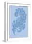 Porcelain Blue Motif II-Vision Studio-Framed Art Print