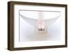 Porcelain bowl with woodwork chopstick-C. Nidhoff-Lang-Framed Photographic Print