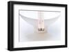 Porcelain bowl with woodwork chopstick-C. Nidhoff-Lang-Framed Photographic Print