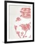 Porcelain Fencai III-Sandra Jacobs-Framed Giclee Print