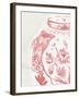 Porcelain Fencai IV-Sandra Jacobs-Framed Giclee Print