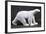 Porcelain Polar Bear, 1922-Francois Stiemart and Pierre Gobert-Framed Giclee Print