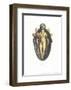 Porcelanas I-Bernard Palissy-Framed Art Print