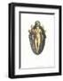 Porcelanas I-Bernard Palissy-Framed Art Print