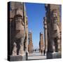 Porch of Xerxes, Persepolis, UNESCO World Heritage Site, Iran, Middle East-Robert Harding-Stretched Canvas