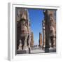 Porch of Xerxes, Persepolis, UNESCO World Heritage Site, Iran, Middle East-Robert Harding-Framed Photographic Print