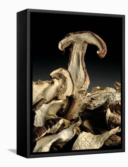 Porcini Mushrooms 'Golgotha', 1994-Norman Hollands-Framed Stretched Canvas